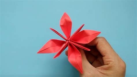 大紅花怎么疊視頻教程,大紅花怎么疊視頻教程簡單縮略圖