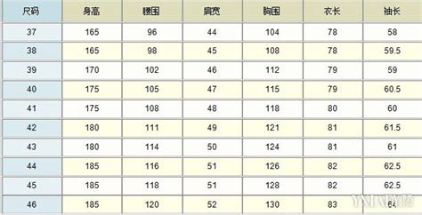 上衣尺碼表,上衣尺碼表參考縮略圖