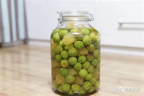 青梅酒用什么青梅最好,青梅酒在幾月份泡最好縮略圖