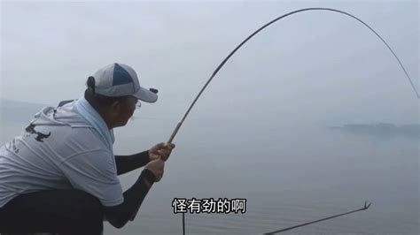 化紹新有多少億(化氏集團)縮略圖