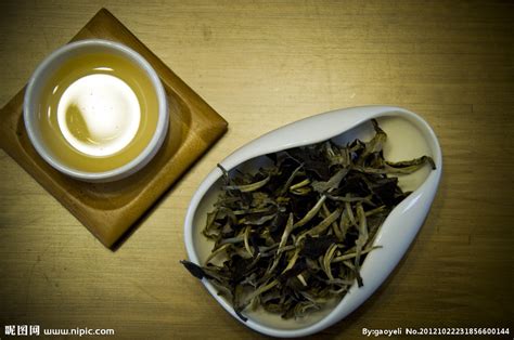 普洱生茶屬于哪類茶(普洱生茶屬于哪類茶類)縮略圖