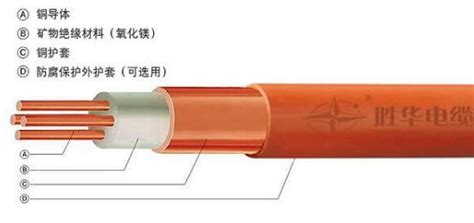礦物質電纜做法和壓法(礦物質電纜做法和壓法講解)縮略圖