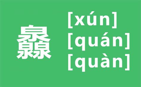 笸籮的讀音是什么意思(笸籮的讀音是什么意思啊)縮略圖