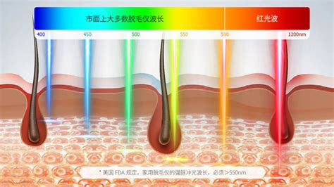 脫毛儀怎么選,脫毛儀怎么選最正確縮略圖 脫毛儀怎么選,脫毛儀怎么選最正確縮略圖