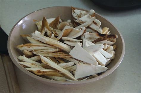 雞樅菌湯的家常做法(雞樅菌湯的家常做法大全)縮略圖