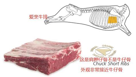 牛仔骨是牛哪個部位,牛仔骨是牛哪個部位的肉縮略圖