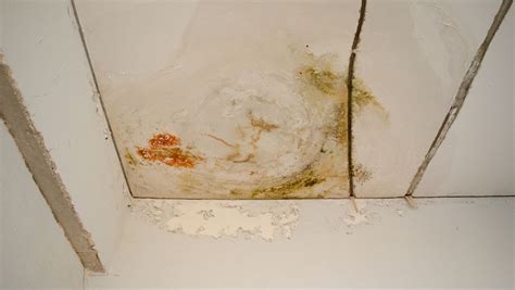 插排進水了晾干后還能用嗎,公牛插排進水了晾干后還能用嗎縮略圖