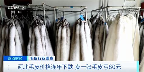皮草批發(fā)市場哪最便宜,北京皮草批發(fā)市場哪最便宜縮略圖