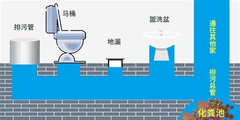 衛(wèi)生間反臭味小竅門,衛(wèi)生間反臭味小竅門除味劑?縮略圖