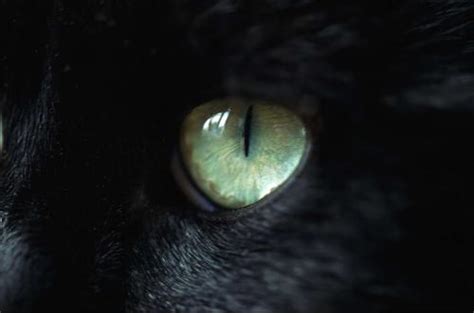 貓眼石(貓眼石手鏈)縮略圖