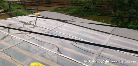 遮陽網的正確搭建方法(遮陽網的正確搭建方法視頻)縮略圖