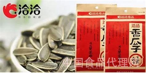 洽洽瓜子創始人(洽洽瓜子創始人宋宗慶)縮略圖