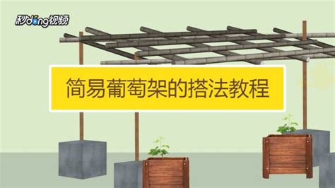 葡萄架的搭建方法,葡萄架的搭建方法圖片縮略圖
