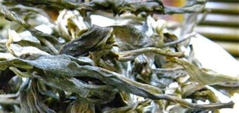 冰島茶功效,冰島茶功效與作用禁忌縮略圖