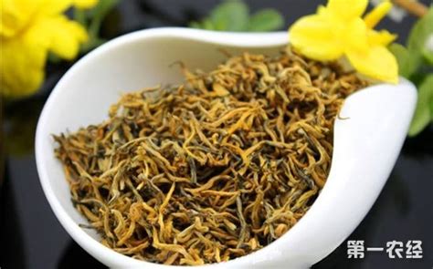金駿眉茶99元(金駿眉茶多少錢)縮略圖