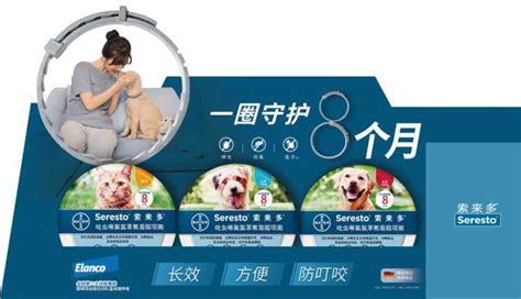 拜寵清驅蟲效果怎么樣(拜寵清幼犬驅蟲藥怎么使用)縮略圖