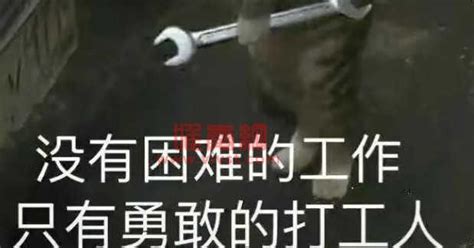 天選打工人什么意思(天選打工人什么意思啊網絡用語)縮略圖