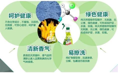 清潔劑的種類性能及使用方法(清潔劑的種類性能及使用方法圖片)縮略圖