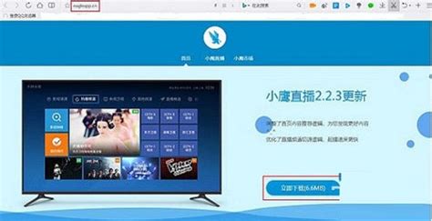 海爾電視安裝第三方軟件(海爾電視安裝第三方軟件閃退)縮略圖