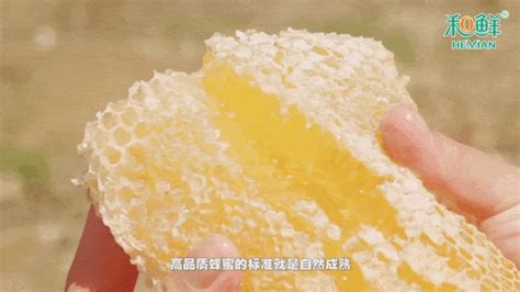 槐花蜜功效與作用,槐花蜜功效與作用有哪些縮略圖
