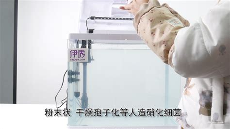 硝化細(xì)菌正確使用方法,硝化細(xì)菌正確使用方法及用量縮略圖