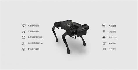 機器狗中國(機器狗中國那個公司制造的)縮略圖
