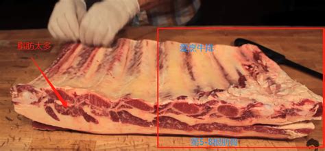 牛仔骨是合成肉嗎(牛仔骨的做法)縮略圖