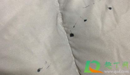 勾線筆弄到衣服上怎么去除(勾線筆弄到衣服上怎么去除小妙招)縮略圖