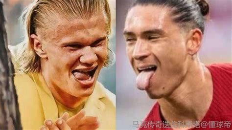 鐵錘姐姐現在為啥不直播了(鐵錘姐姐現在為啥不直播了呢)縮略圖 鐵錘姐姐現在為啥不直播了(鐵錘姐姐現在為啥不直播了呢)縮略圖