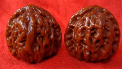 文玩核桃前十名,文玩核桃前十名品牌縮略圖