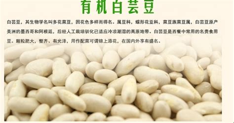 白蕓豆的功效與作用(白蕓豆的功效與作用及副作用)縮略圖