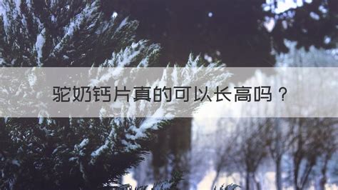 駝奶鈣片真的可以長高嗎,駝奶鈣片真的可以長高嗎17歲縮略圖