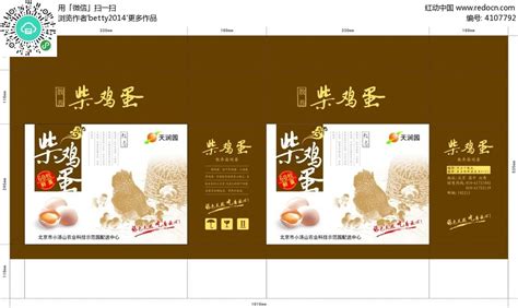 柴雞蛋小說作品集(柴雞蛋小說作品集下載百度云)縮略圖