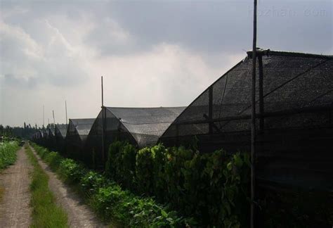防塵網的生產廠家(防塵網的生產廠家哪里有)縮略圖