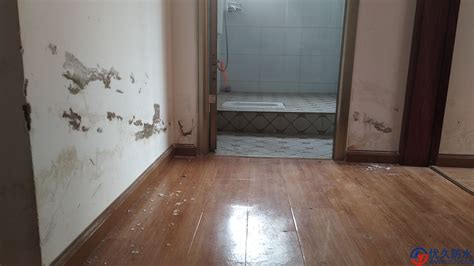 墻面滲水怎么解決,墻面滲水怎么解決怎么處理墻面縮略圖