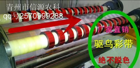 彩帶驅鳥效果怎么樣(驅鳥彩帶什么顏色效果好)縮略圖