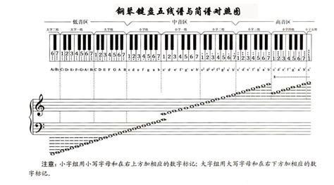 鋼琴鍵盤簡(jiǎn)譜對(duì)照表(鋼琴鍵盤簡(jiǎn)譜對(duì)照表數(shù)字)縮略圖