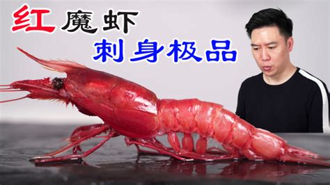 紅魔蝦,紅魔蝦多少錢一個斤縮略圖