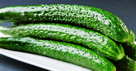 黃金瓜的種植方法和時間(黃金瓜的種植方法視頻)縮略圖
