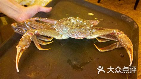 長腳蟹圖片大全(長腳蟹圖片大全大圖)縮略圖