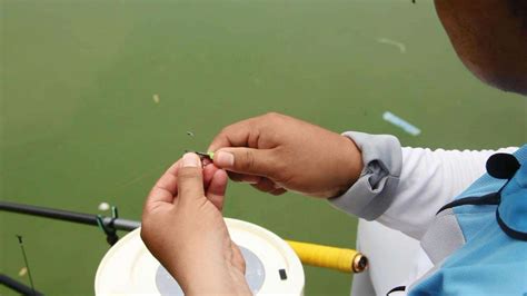 魚漂的正確調漂法(魚漂的正確調漂法視頻)縮略圖