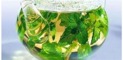 回春草煮水喝男性喝能壯陽嗎(回春草泡水喝多久才能壯陽)縮略圖