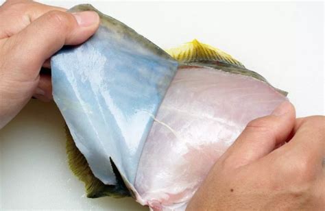 剝皮魚怎么剝,剝皮魚怎么剝皮更快又簡單縮略圖
