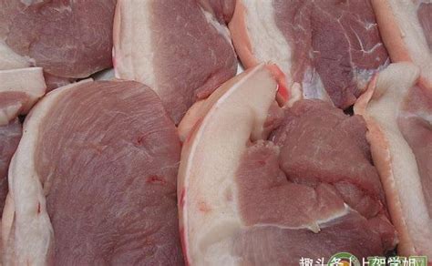 夾子肉又叫什么,夾子肉又叫什么名字縮略圖