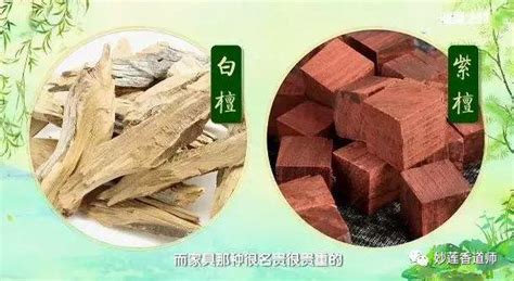 檀香木對身體有傷害嗎,檀香木對身體有傷害嗎女性縮略圖