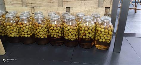 梅子酒用什么酒泡好喝,梅子酒用什么酒泡最好縮略圖