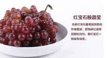 紅寶石葡萄(紅寶石葡萄圖片)縮略圖