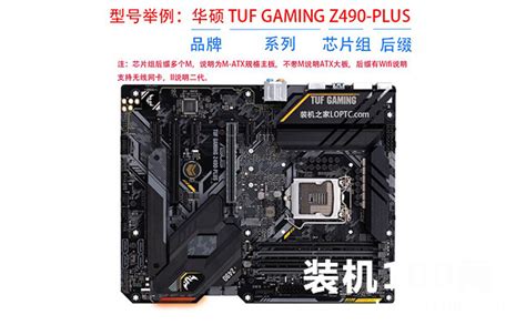 華碩主板型號排行(華碩主板型號排行2022)縮略圖