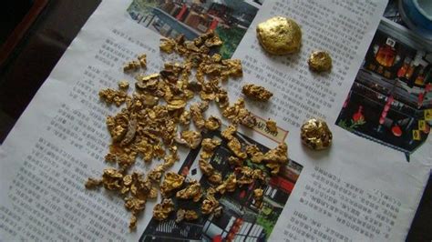 沙金和黃金有何區別(沙金和黃金有何區別圖)縮略圖