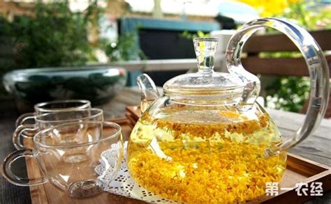 桂花茶怎么沖泡,桂花茶怎么沖泡最好喝縮略圖